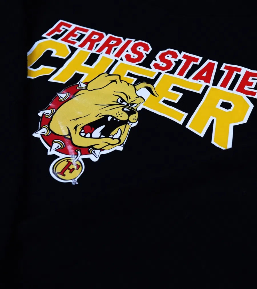 Ferris State Vintage Pullover